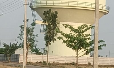 WhatsApp-Image-2026-03-11-at-11.46.16